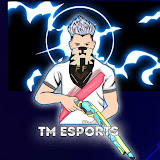 TM Esports Logo